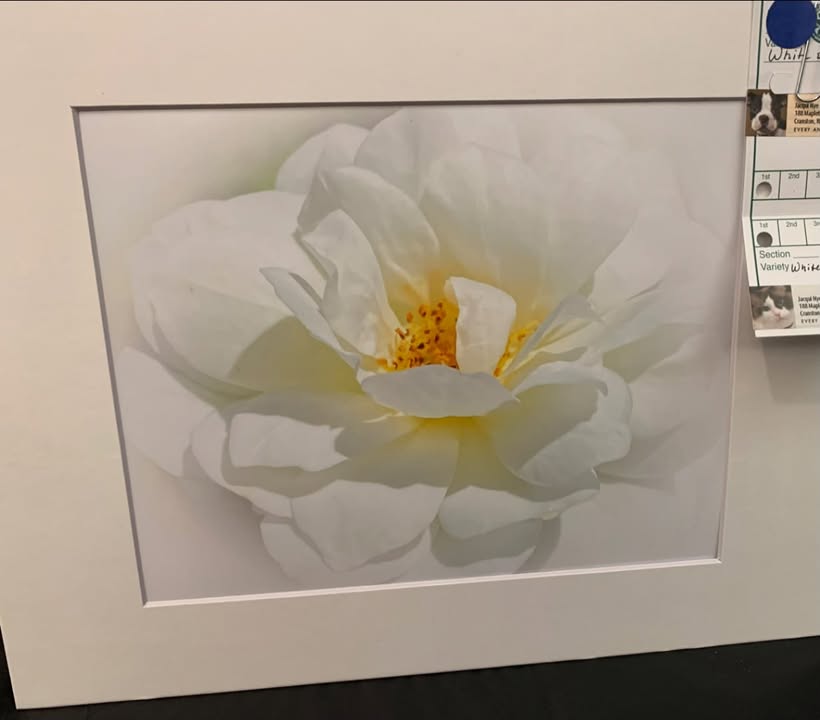 2026 ARS National Convention and Rose Show