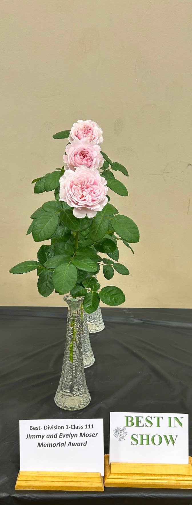 2026 ARS National Convention and Rose Show